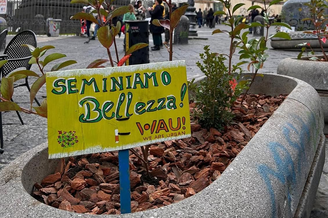 wau copertina 1
