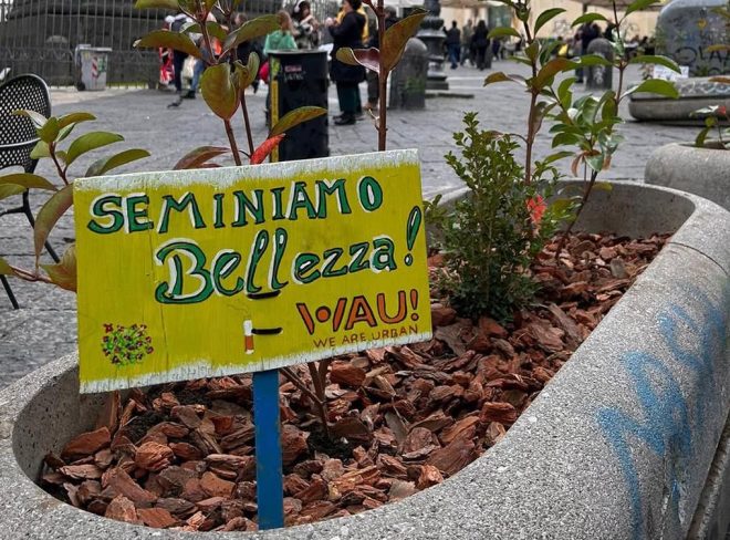 wau copertina