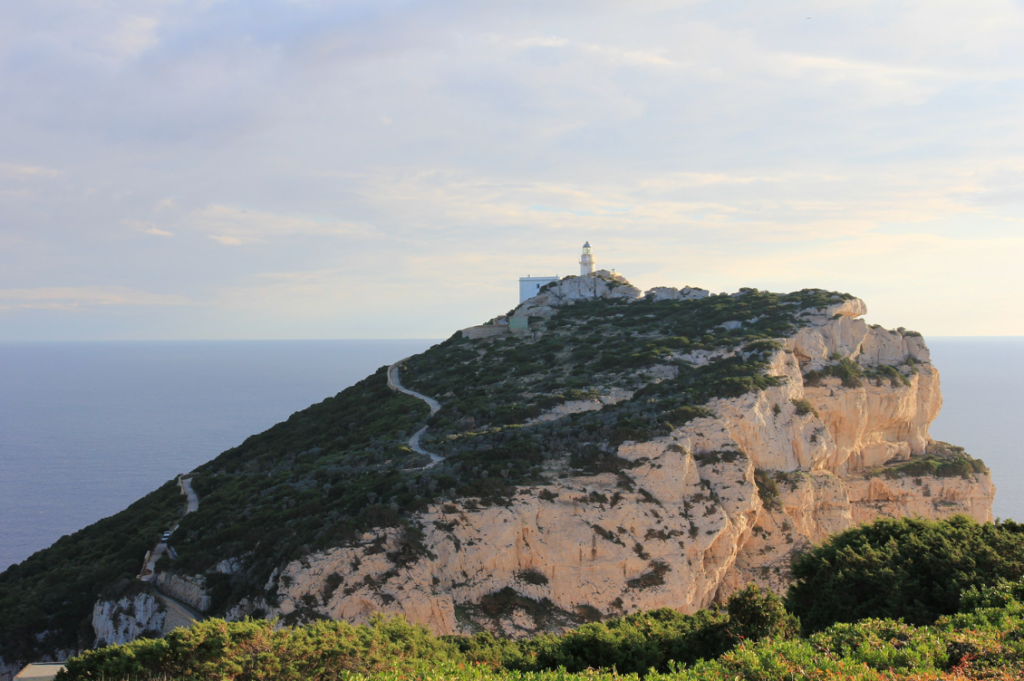 HEADER alghero 1
