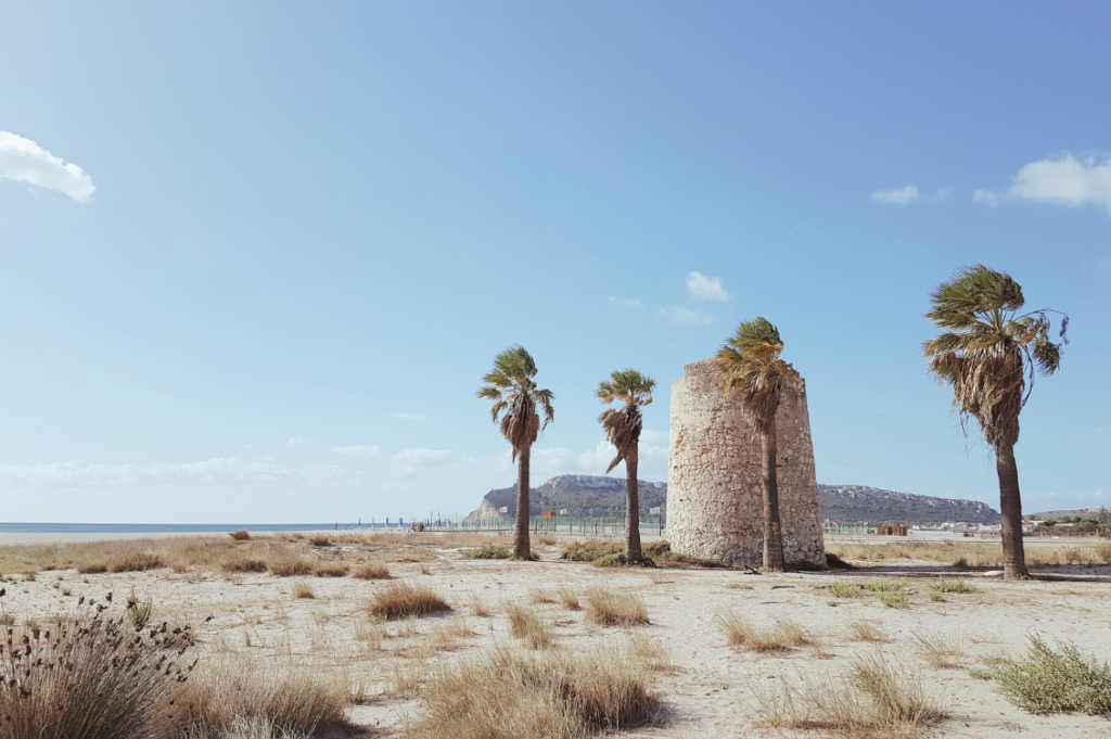 HEADER innovazione 1