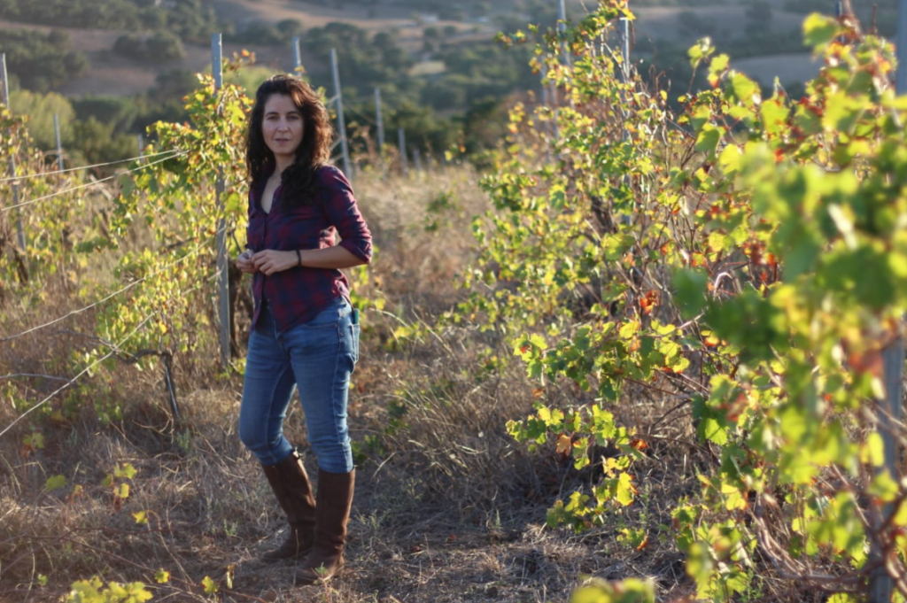 HEADER vino 3