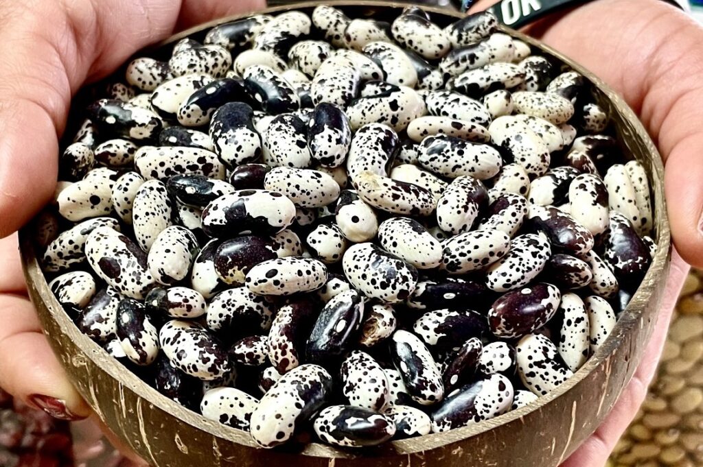 Cercatori di semi: la tutela dell’agrobiodiversità è una ricerca quotidiana