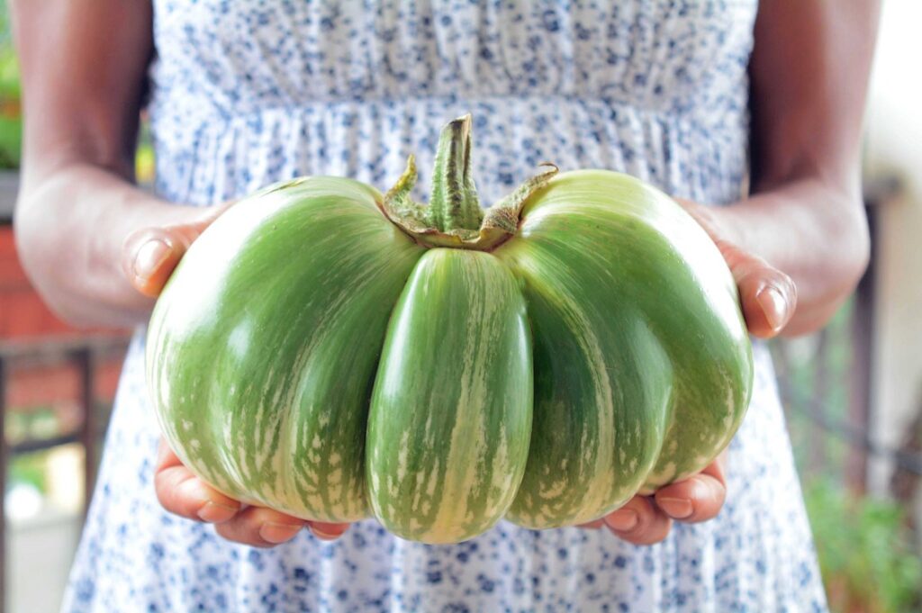 Cercatori di semi: la tutela dell’agrobiodiversità è una ricerca quotidiana