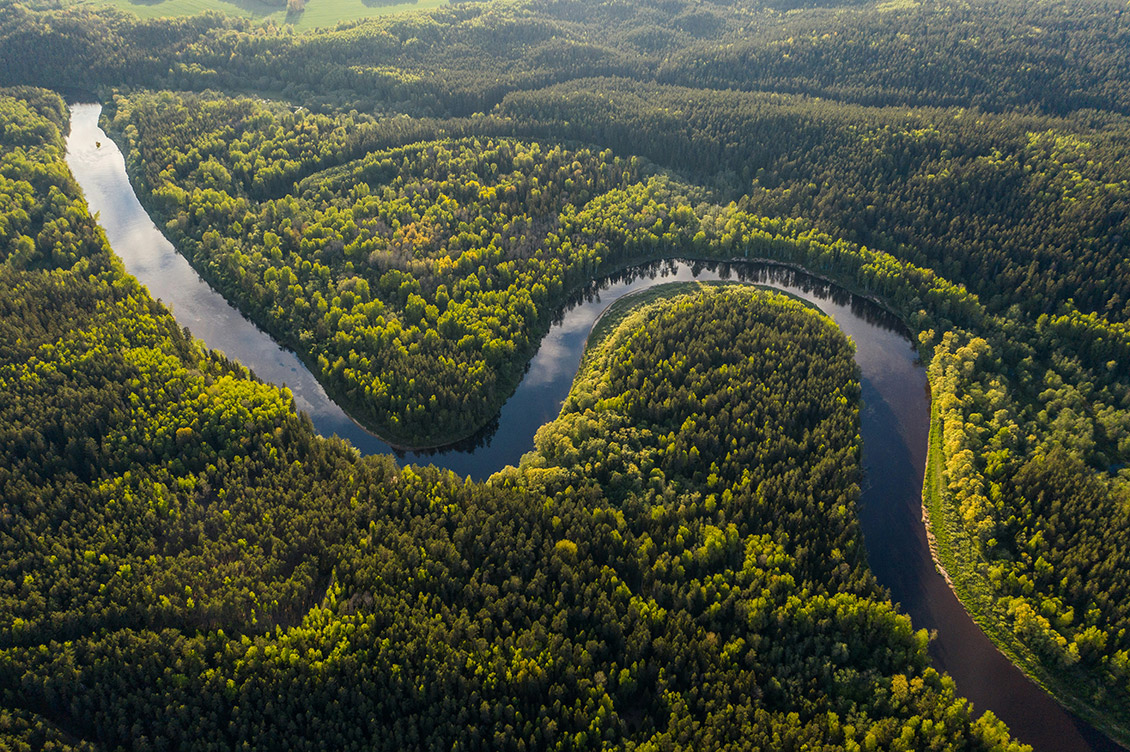cop 30 amazzonia brasile