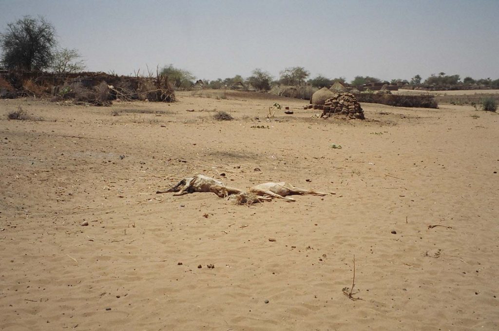 darfur