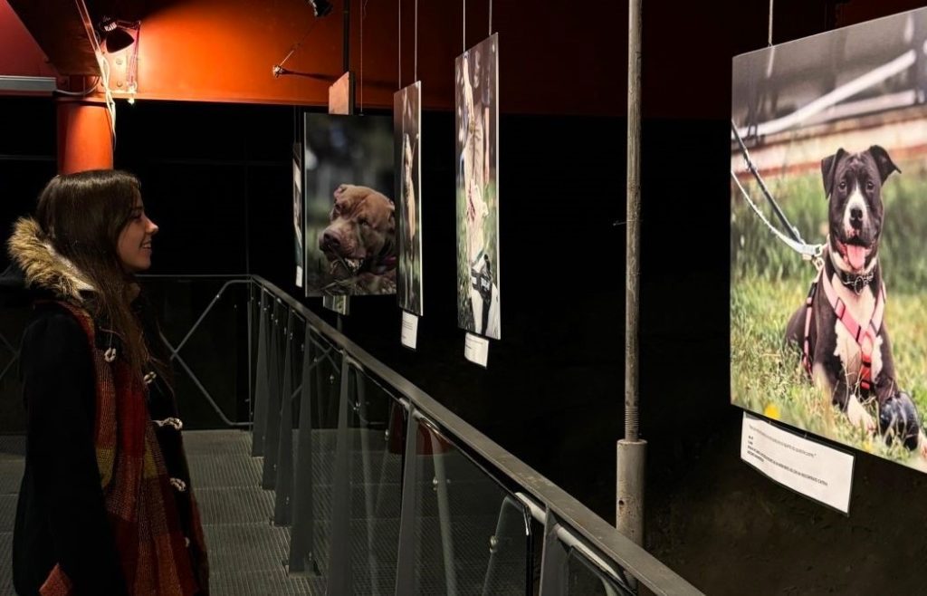 mostra fotografica