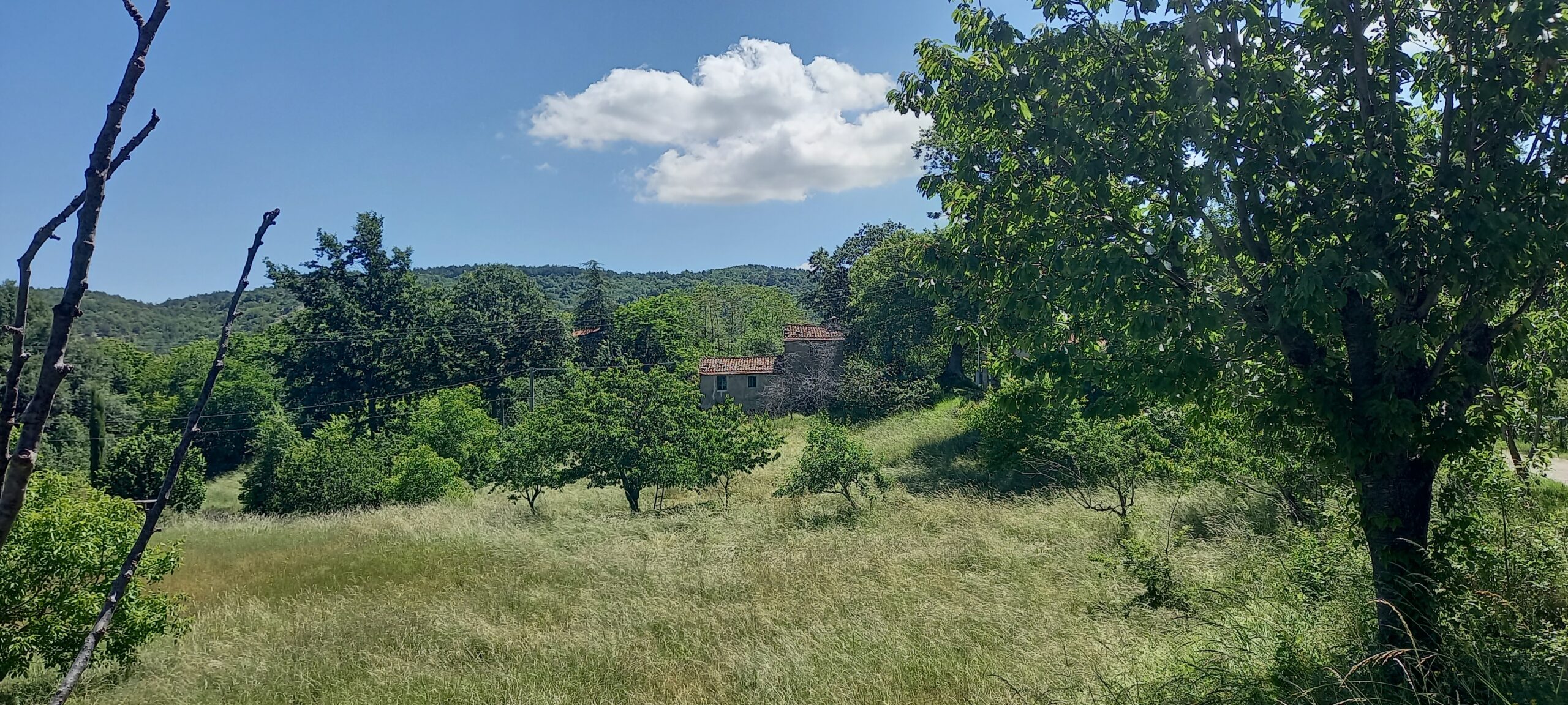 panorama casetta scaled