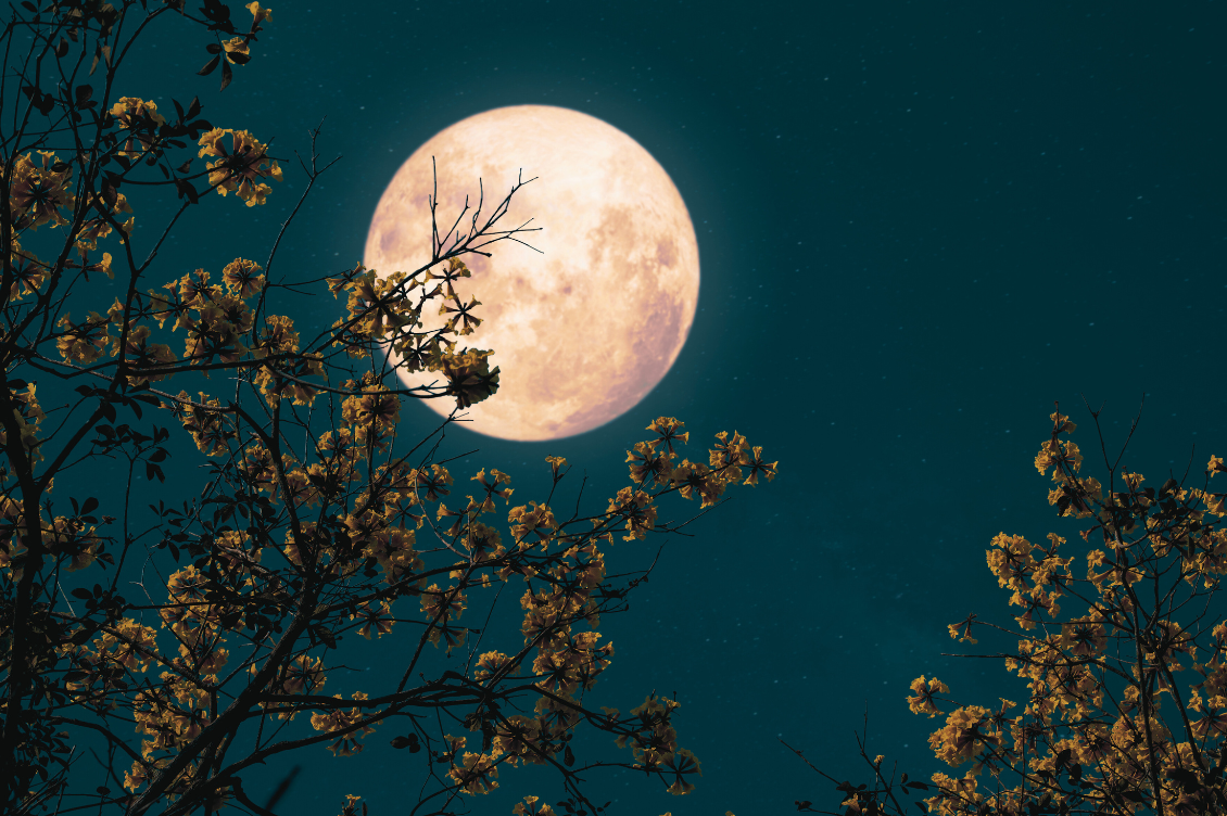 luna ciclo lunare cicli lunari
