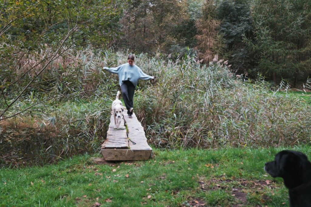 hinterland