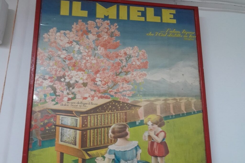 api economia circolare3