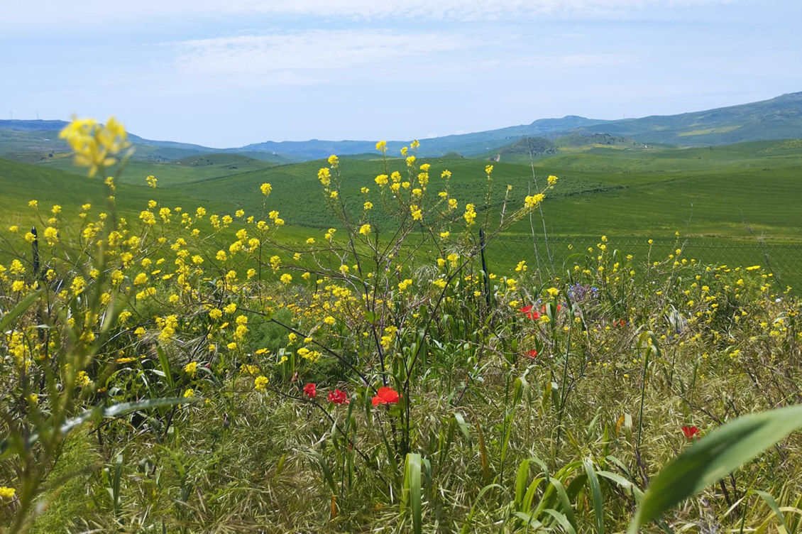 aromi di sicilia gangi 5