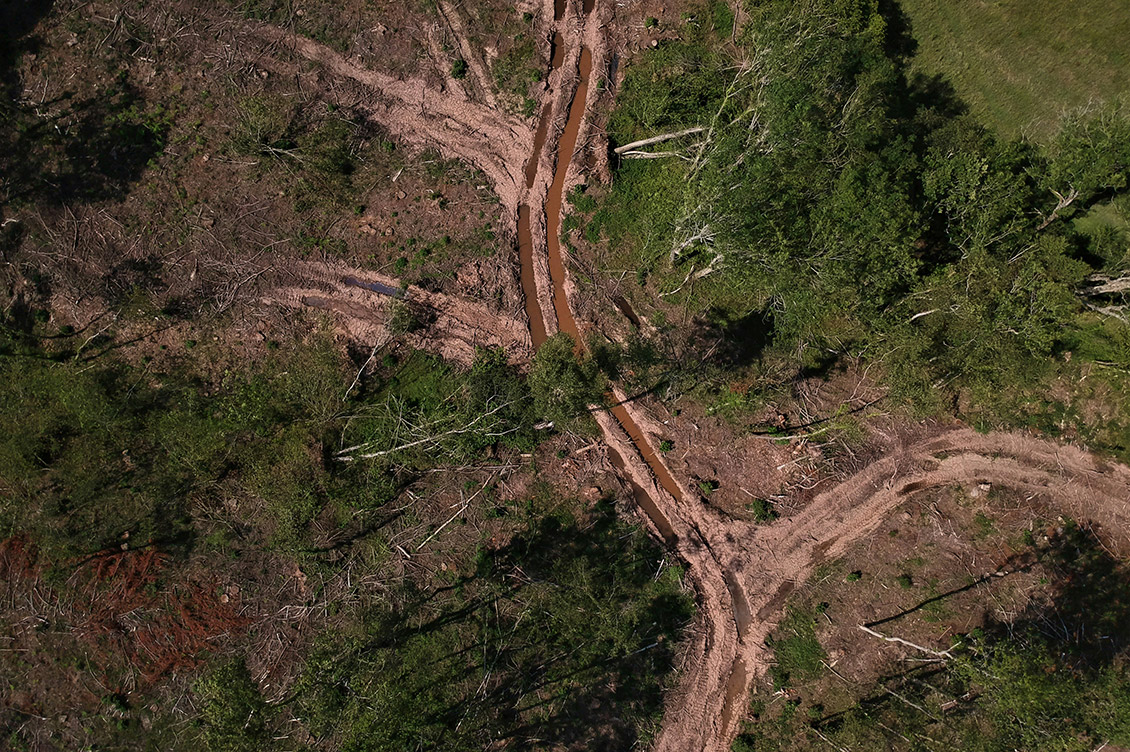 cop30 in brasile deforestazione