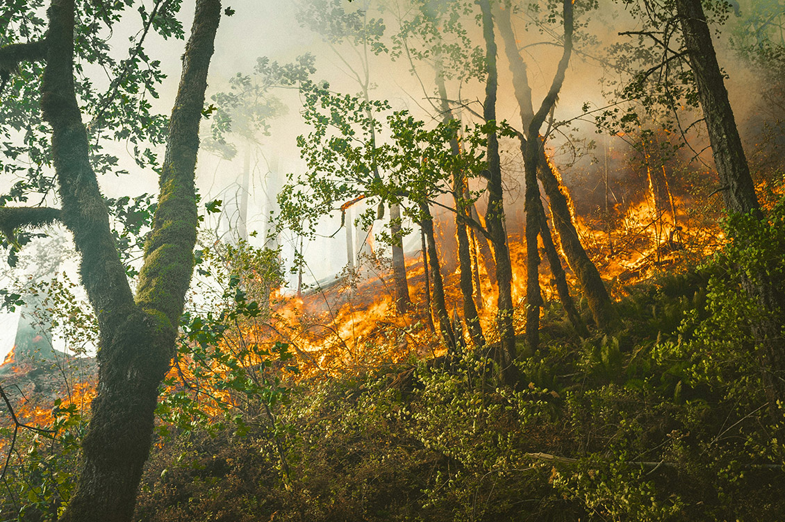 incendi america clima