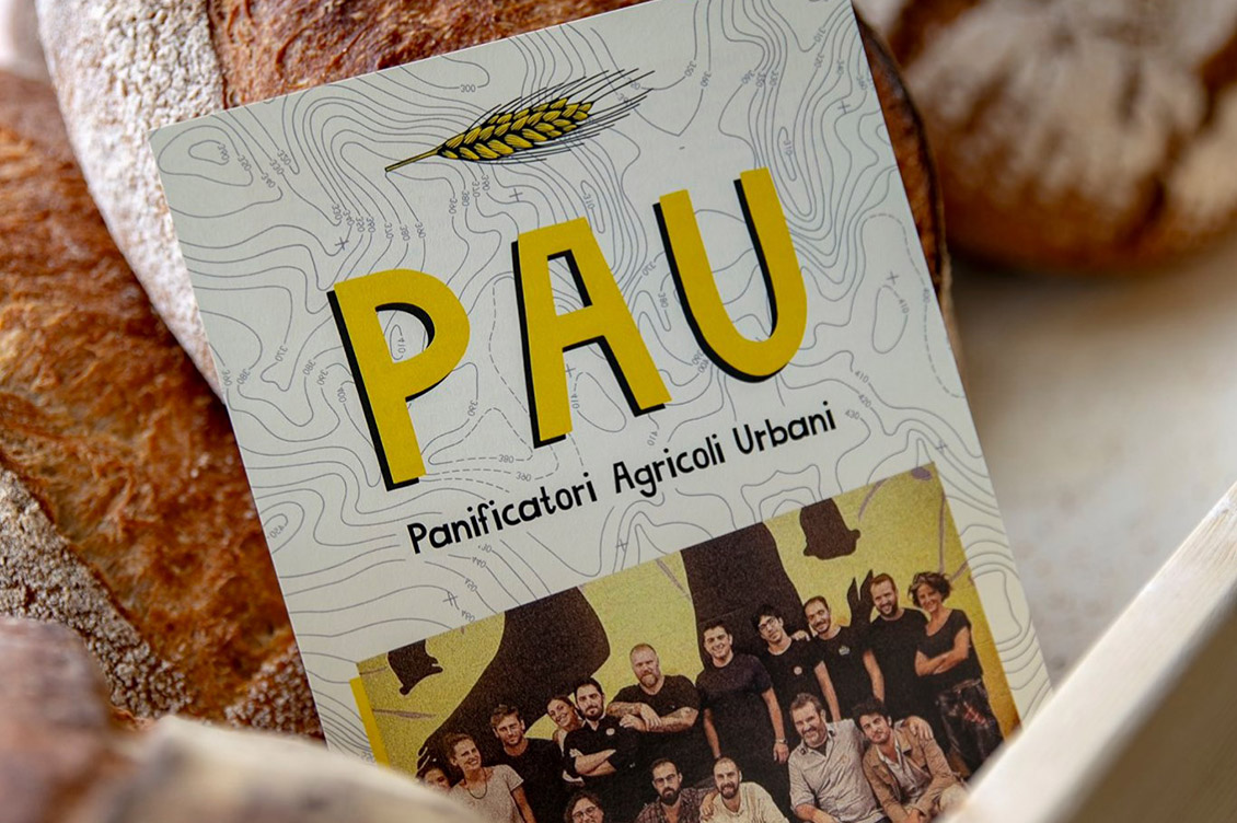 panificatori pau 1