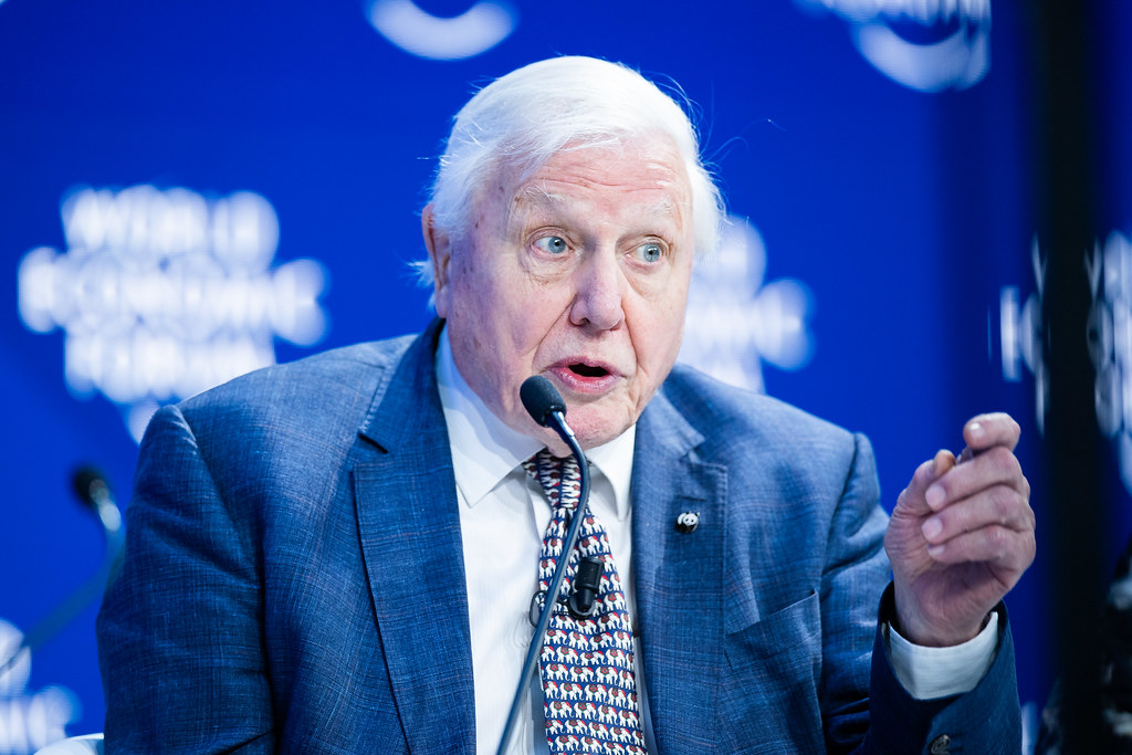 David Attenborough Ocean
