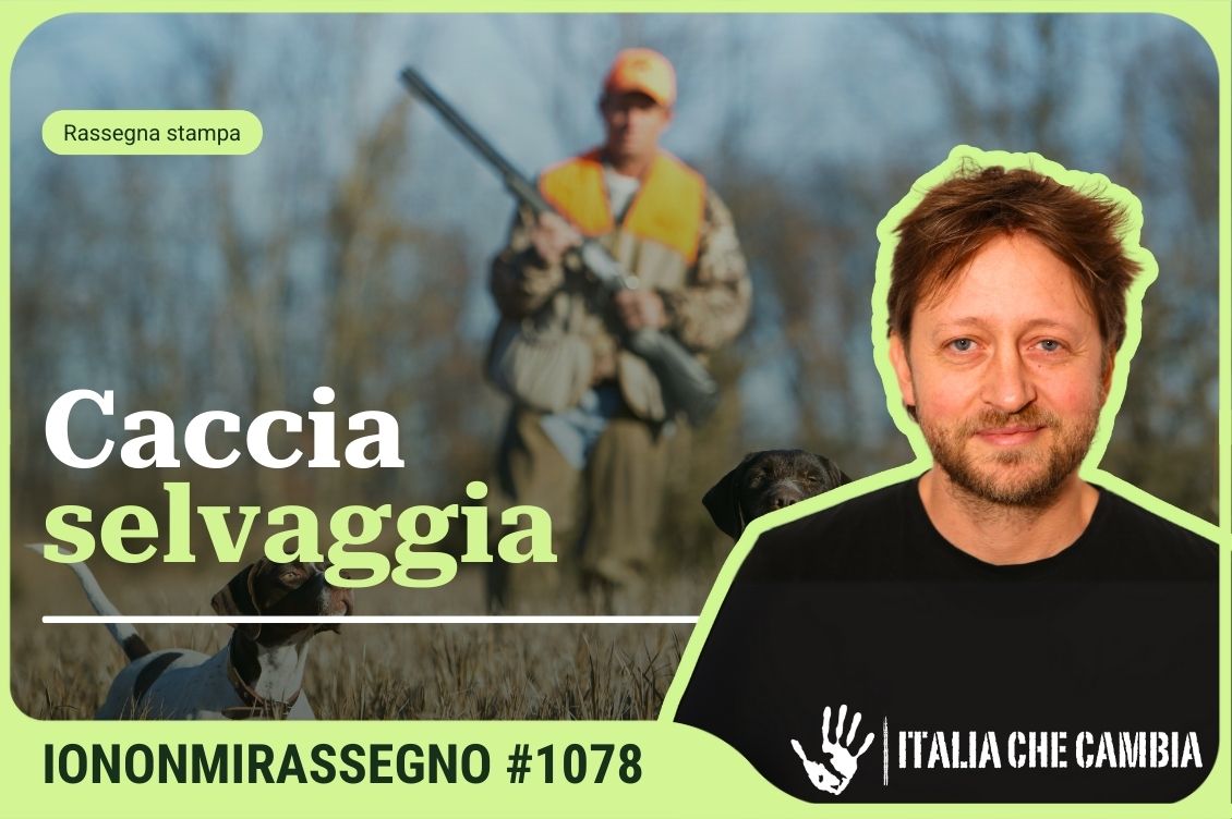 caccia selvaggia ddl