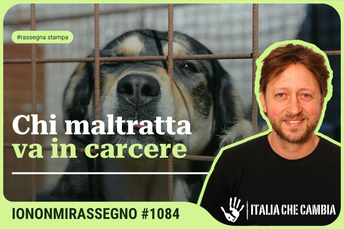 Cover Rassegna Home 1130 x 752 px 35