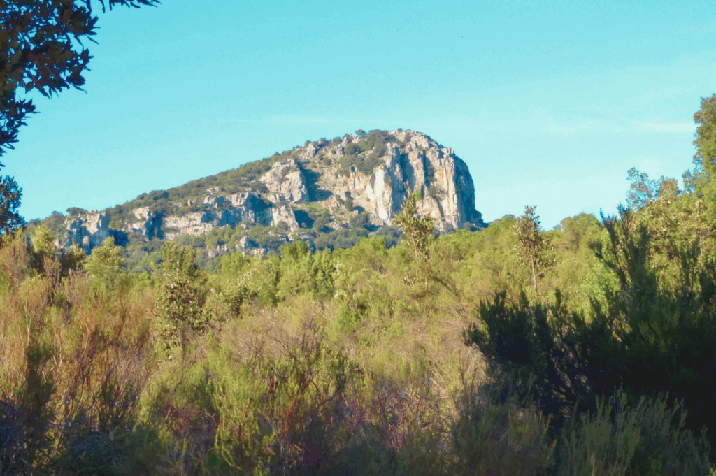 HEADER banditismo 1