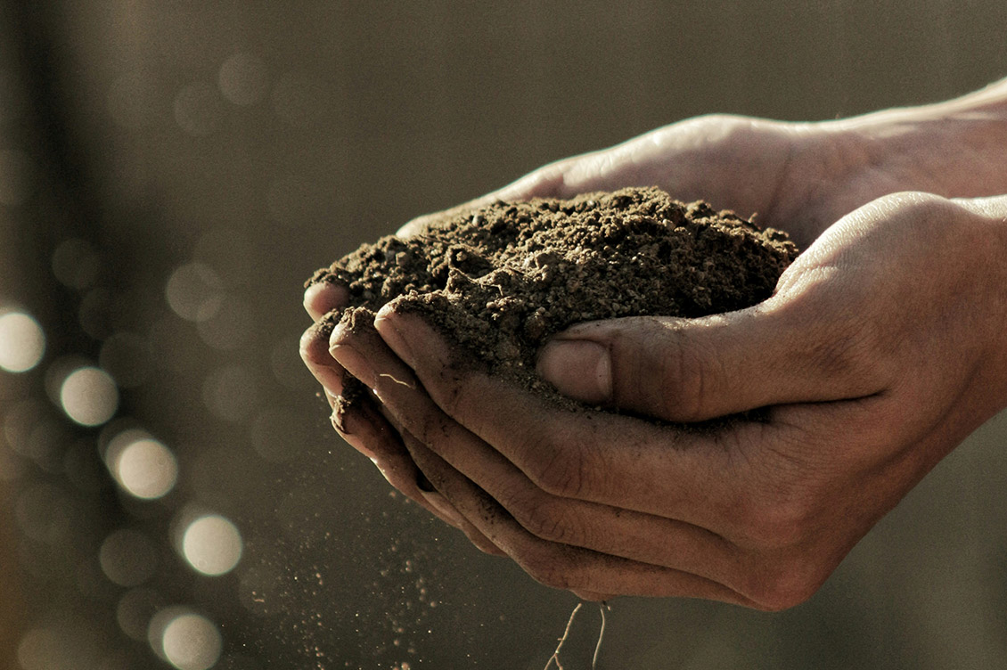 agricoltura naturale