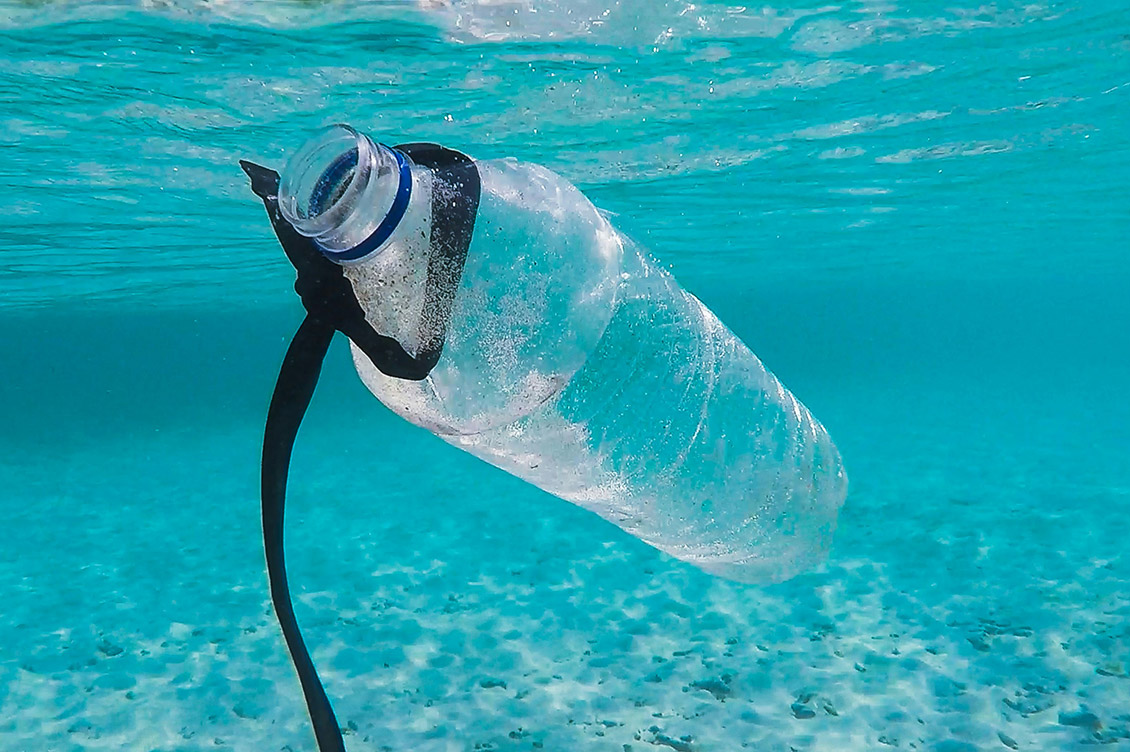 bottiglie di plastica bali