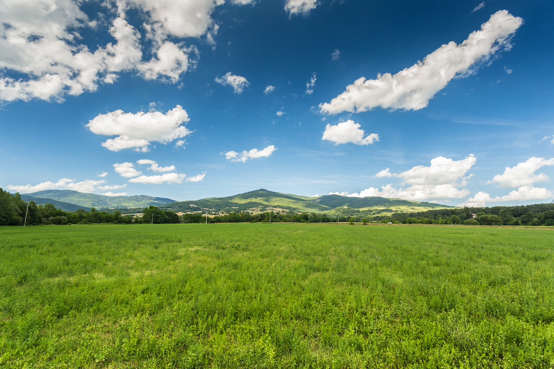 Paesaggio naturale con prato verde e colline sullo sfondo, simbolo della Giornata Mondiale dell’Ambiente 2025
