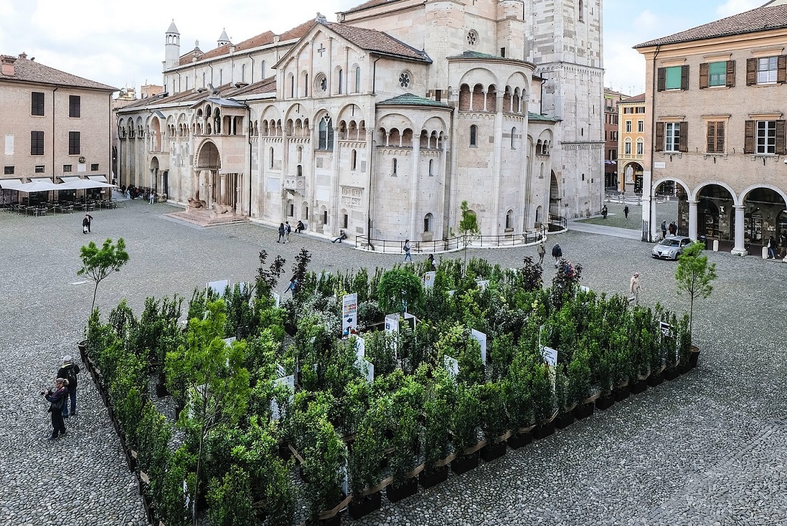 mutina arborea3
