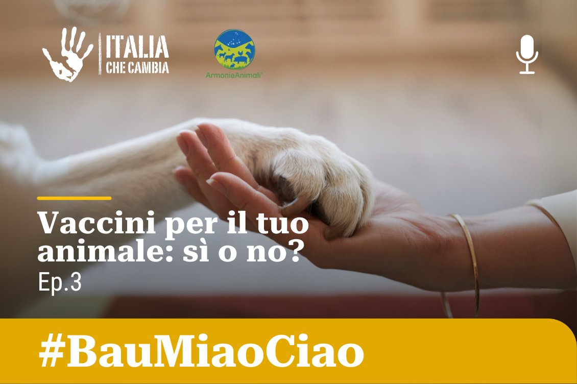 vaccini animali
