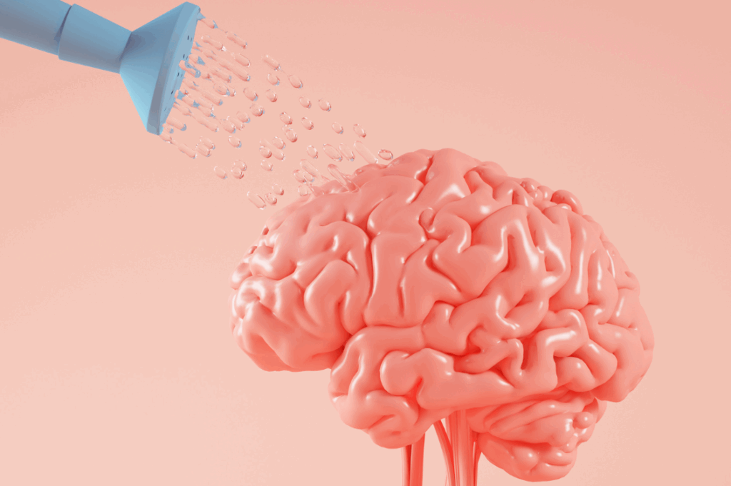 HEADER brain 1
