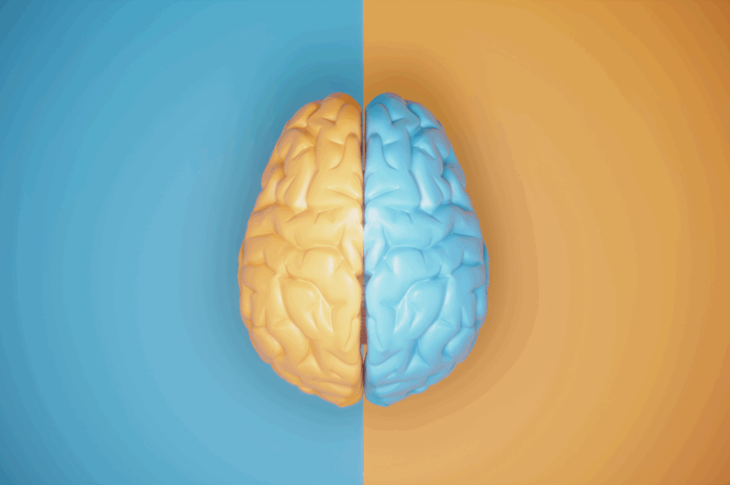 HEADER brain