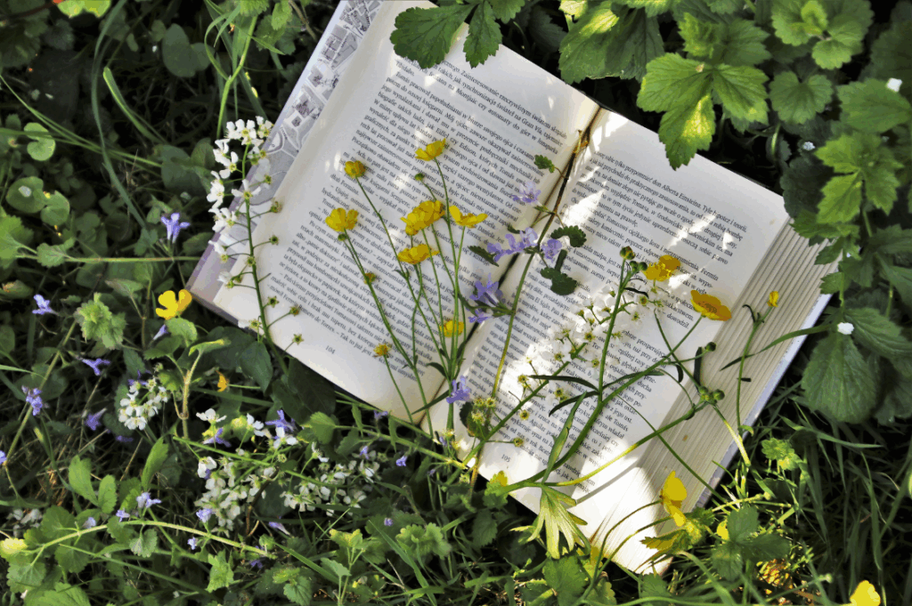 HEADER leggere 2