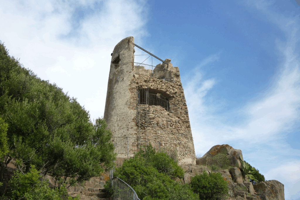 HEADER tortoli