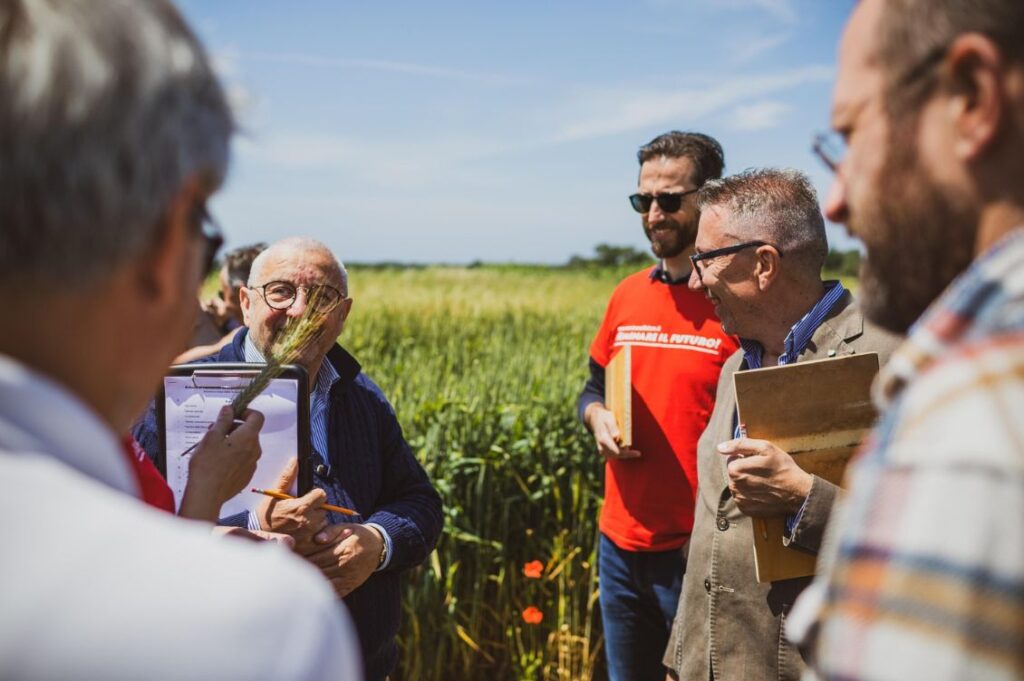 Agricoltori e ricercatori discutono sul campo davanti a una coltivazione di grano biologico, durante una visita tecnica dedicata al Biobreeding.
