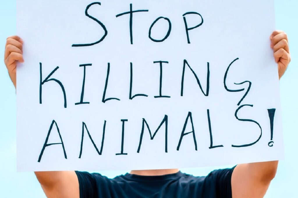 Diventare vegani