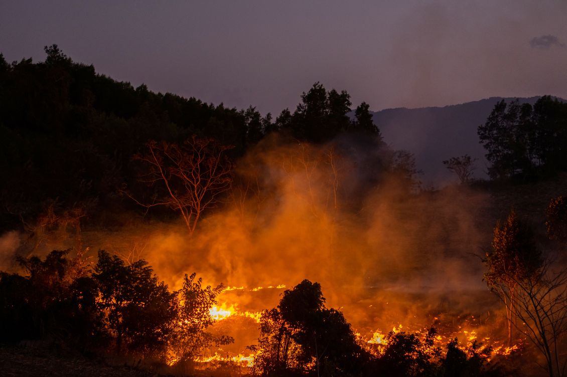 Incendio boschivo in una zona collinare al tramonto, con fumo e fiamme visibili tra gli alberi