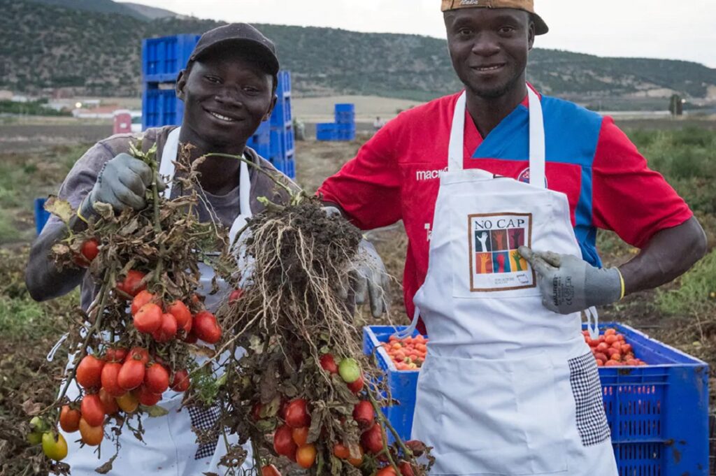 filiera alimentare