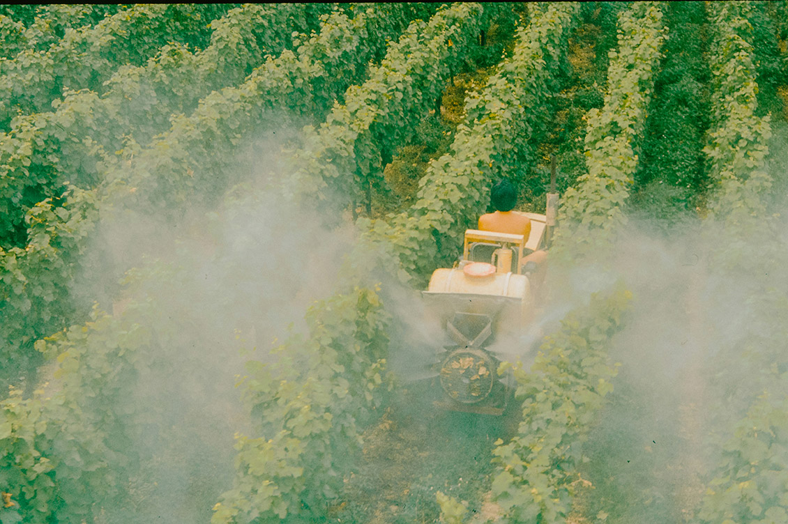 pesticida francia