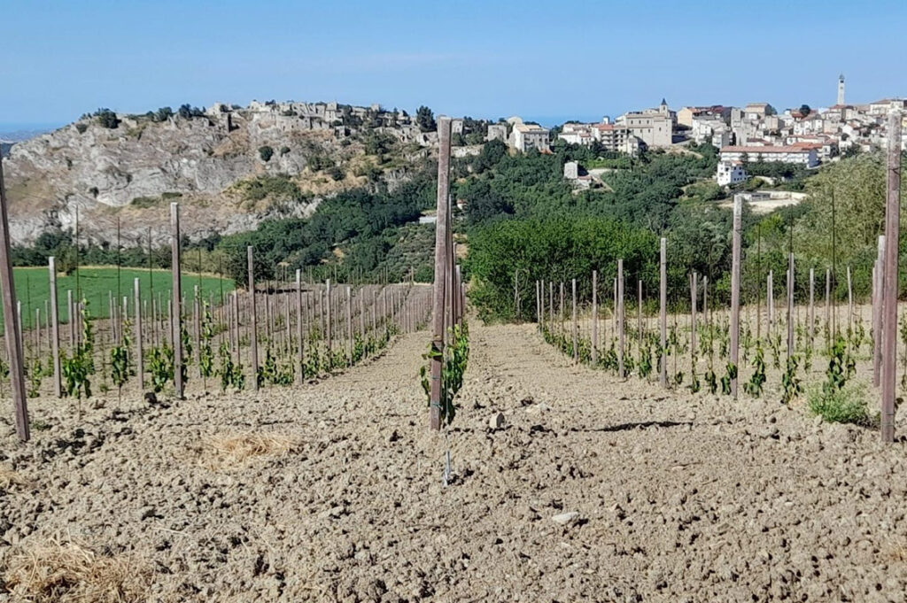 valle aventino