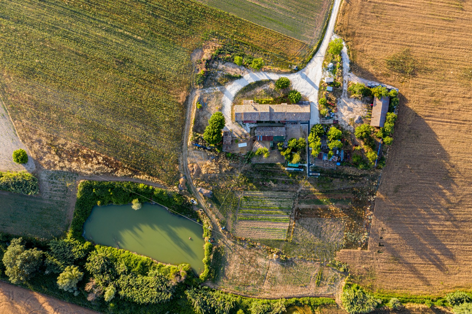 Fattoria Vista dallalto