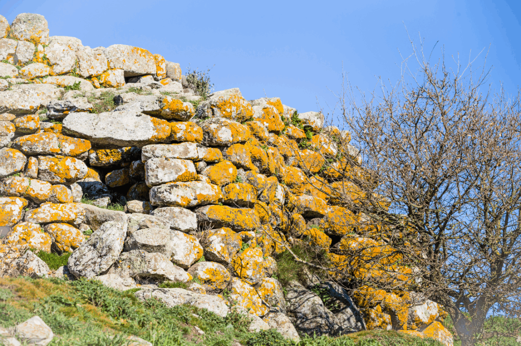 HEADER nuraghe