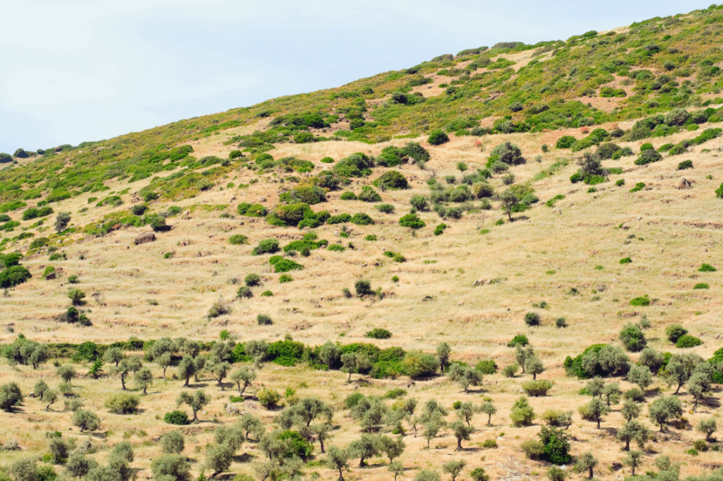 HEADER sardegna