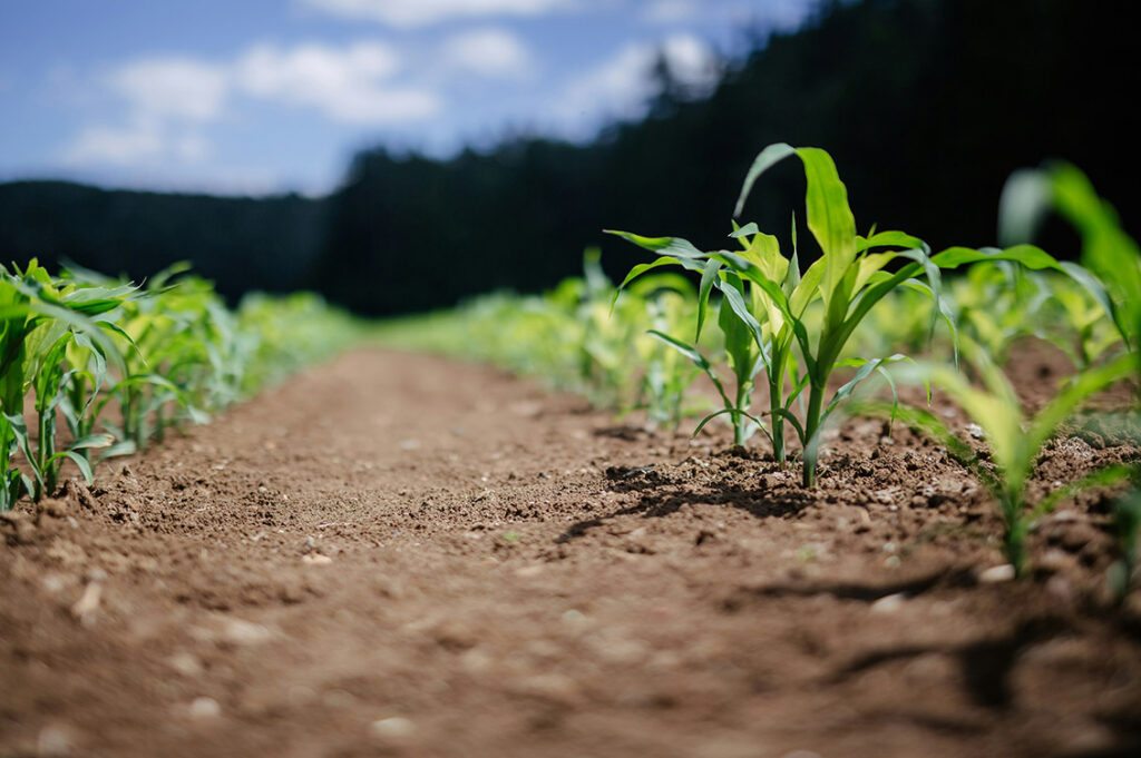 agroecologia cover