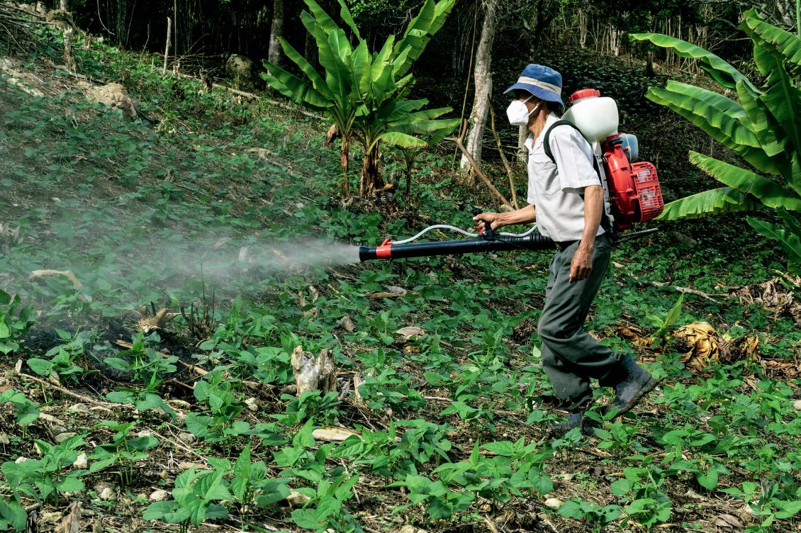 francia pesticida