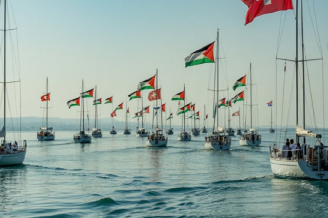 global sumud1