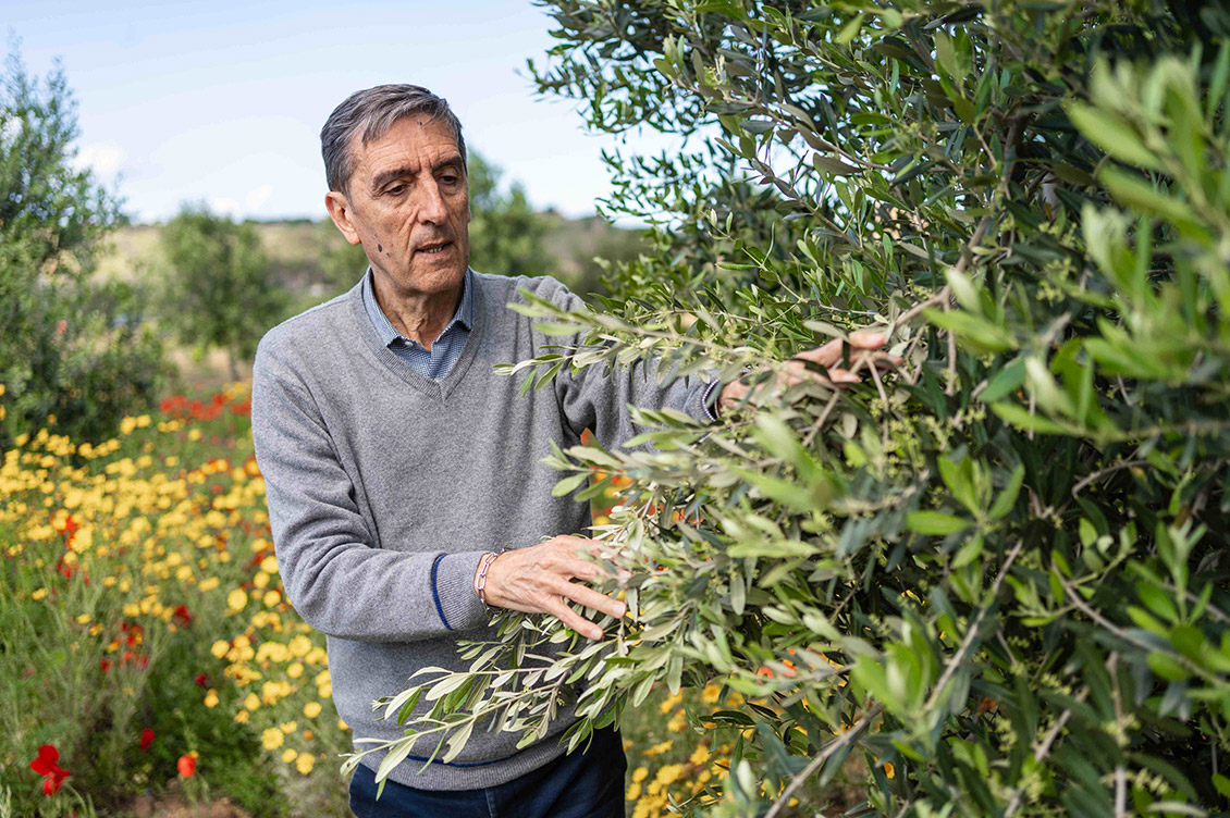 guido bissanti agroecologia