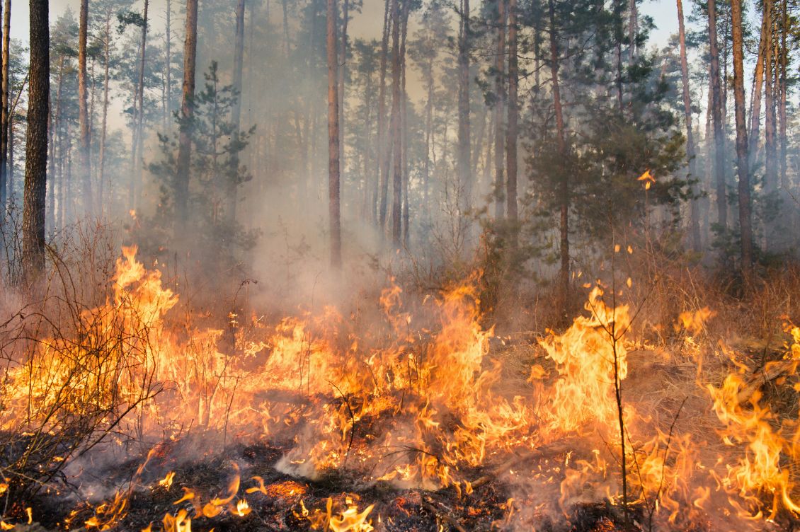 incendi spagna