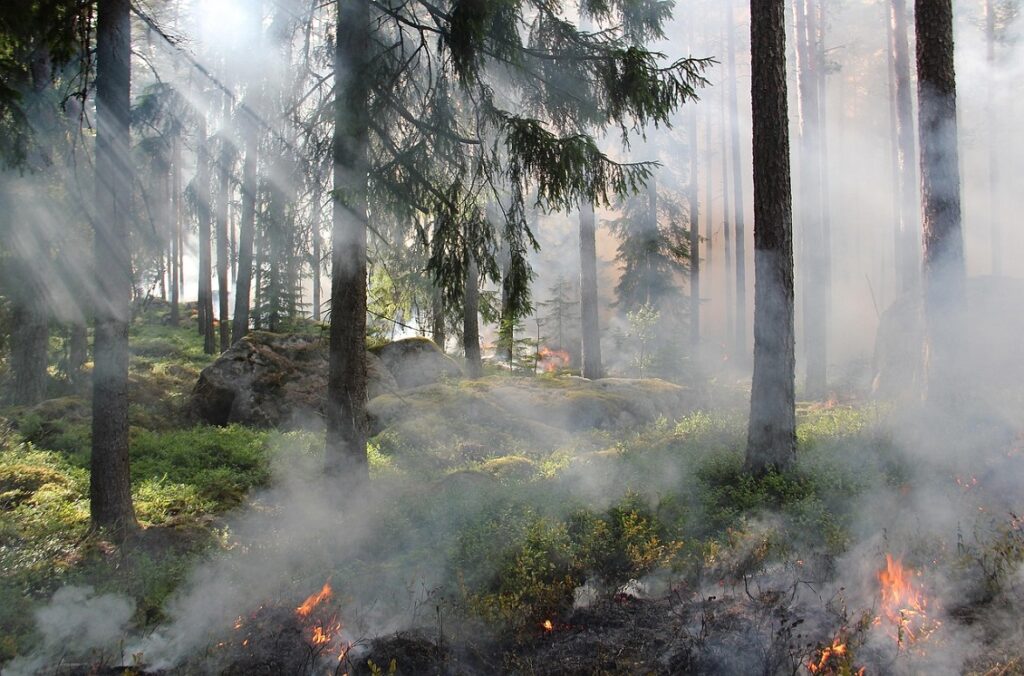 incendi