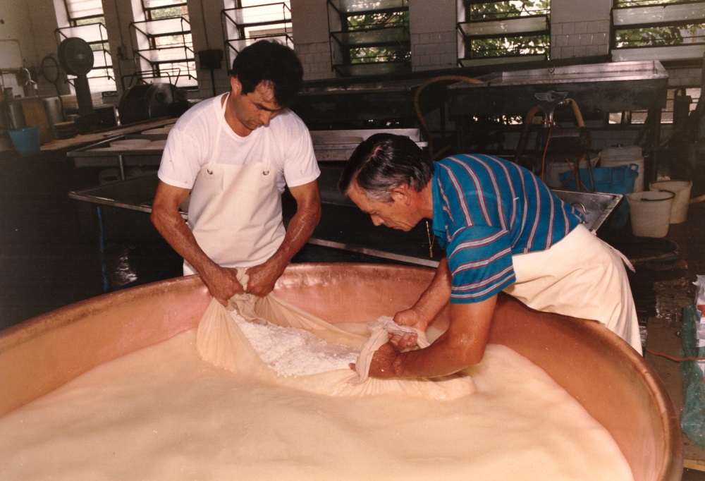 latteria villa cooperativa agricola