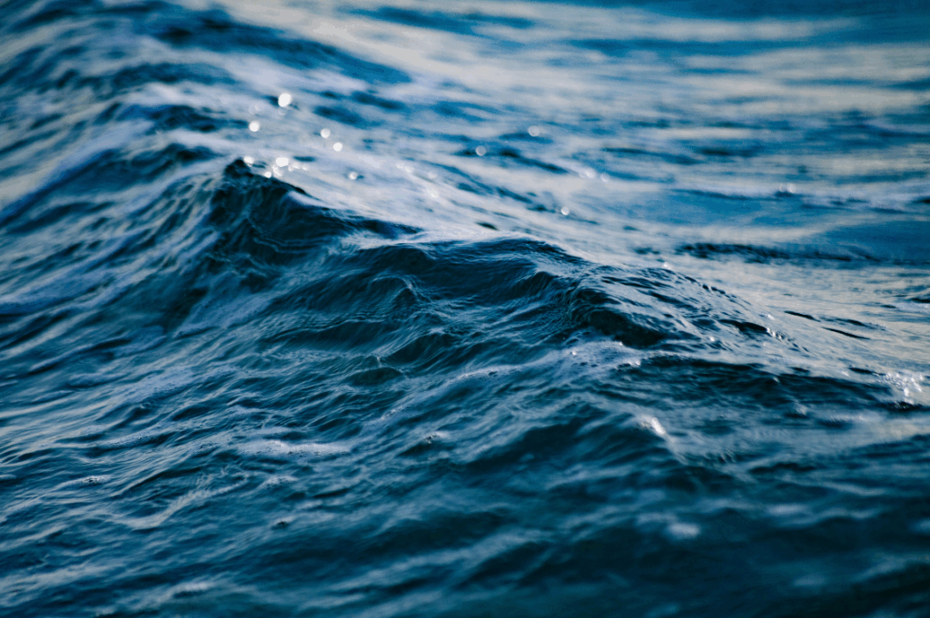 HEADER mare