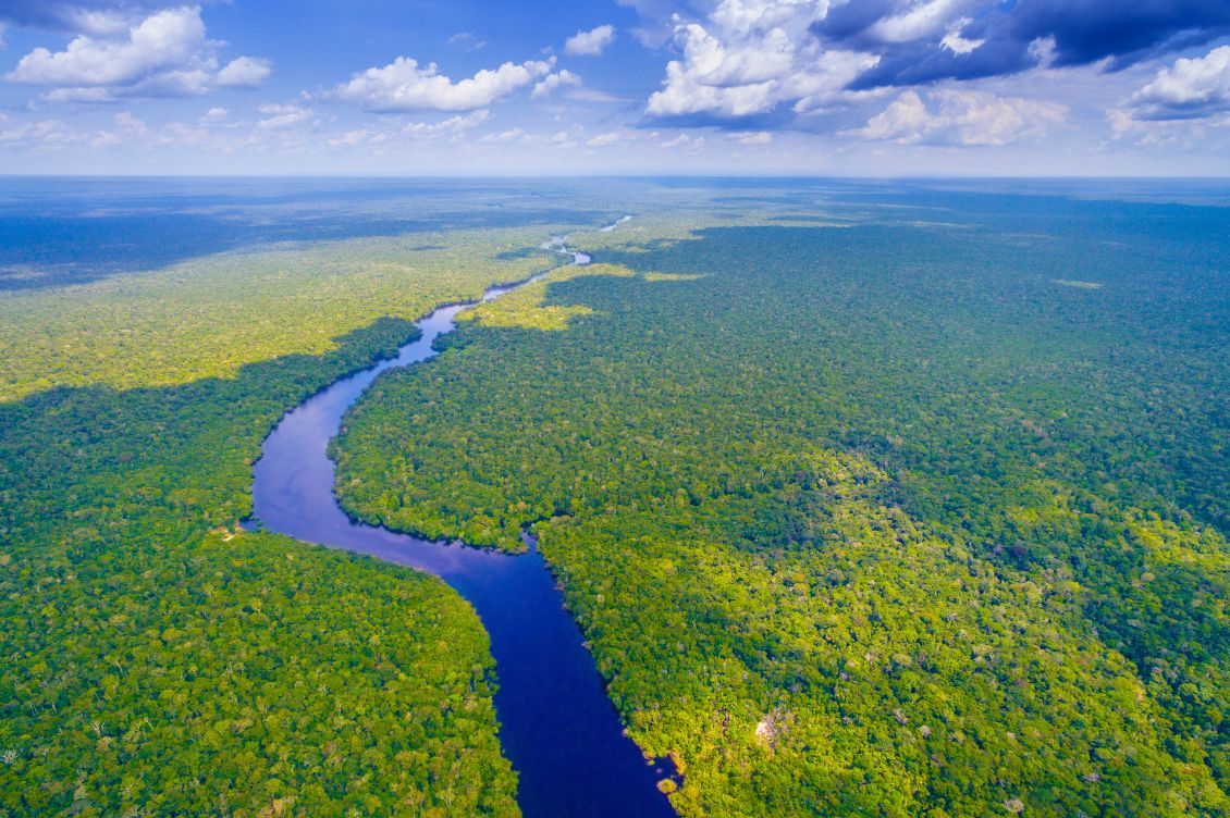 brasile fondo tutela foreste pluviali