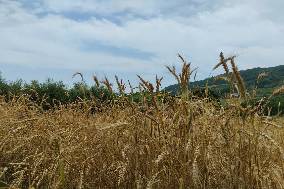 biodiversita cambiamento climatico 4